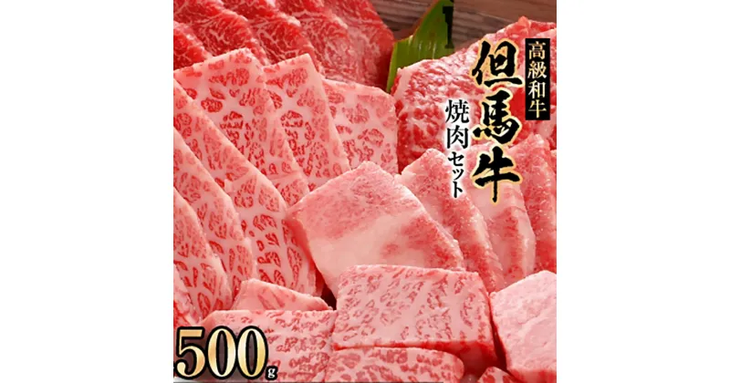 【ふるさと納税】但馬牛焼肉セット【500g】【配送不可地域：離島】【1098409】