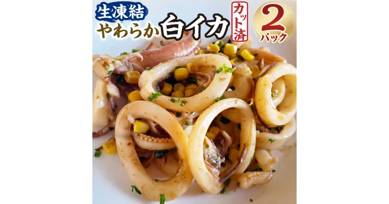 【ふるさと納税】カット済・やわらか白イカ（生凍結）280g×2袋 合計560g いか イカ 白いか 白イカ 冷凍 魚介 炒め物 揚げ物 BBQ バーベキュー【配送不可地域：離島】【1311775】 兵庫県 新温泉町 送料無料