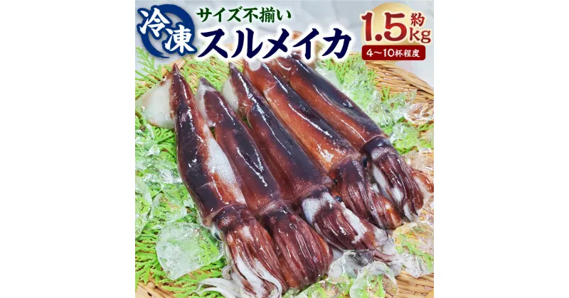 【ふるさと納税】スルメイカ（冷凍）たっぷり約1.5kg 4～10杯程度 サイズ不揃い するめいか いか イカ 刺身 刺し身 お刺身 焼きもの 揚げ物 海鮮 魚介 高鮮度3D凍結 【配送不可地域：離島】【1318898】兵庫県 新温泉町 送料無料