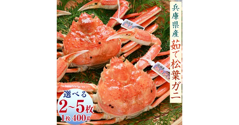 【ふるさと納税】松葉ガニの本場より プロ茹で松葉ガニ（冷凍） 約400g×2枚 または 約400g×5枚 800g 2kg かに カニ 蟹 ズワイガニ 松葉ガニ 釜茹で 魚介 新鮮 海産物 急速冷凍 お取り寄せ 兵庫県 新温泉町 送料無料 【配送不可地域：離島】【1332356】