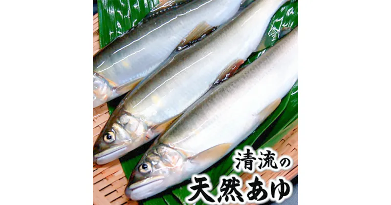 【ふるさと納税】清流の天然あゆ(冷凍)食べやすいサイズ　8尾　兵庫県新温泉町産　【配送不可地域：離島】【1346411】