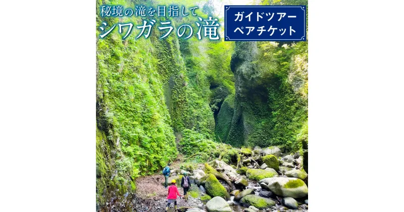 【ふるさと納税】【兵庫・新温泉・自然体験】秘境の滝を目指して、シワガラの滝ガイドツアーペアチケット 1枚 2名 体験 レジャー アウトドア シワガラ シワガラの滝 小又川渓谷 滝 秘境 トレッキング 山登り 山歩き アクティビティ ガイド付き 兵庫県 新温泉町 送料無料