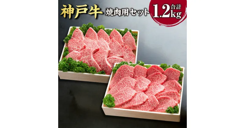 【ふるさと納税】神戸牛 焼肉用セット SOYS5 各600g 計1200g 1.2kg 牛肉 肉 お肉 神戸ビーフ ブランド牛 霜降り 焼肉 焼き肉 BBQ バーベキュー 肩ロース かたロース ロース モモ モモ肉 セット 冷凍 お取り寄せ 兵庫県 新温泉町 送料無料