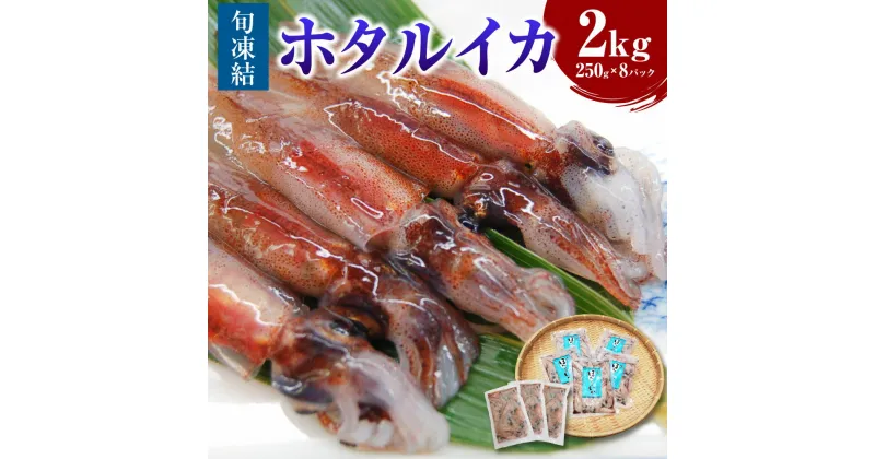 【ふるさと納税】【数量限定】旬凍結ホタルイカ 約250g×5パック +3パック付き！ 合計8パック 合計2kg ほたるいか ホタルイカ いか イカ 海鮮 魚介 刺身 刺し身 沖漬け 旬凍結 3Dフリーザー凍結 冷凍 お取り寄せ【3D凍結】【配送不可地域：離島】 兵庫県 新温泉町 送料無料