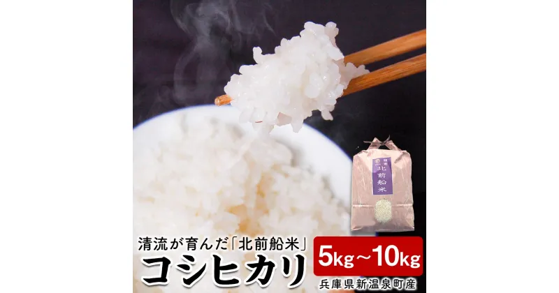 【ふるさと納税】【令和6年産】日本遺産に認定された北前船寄港地 兵庫県新温泉町 「北前船米」コシヒカリ 精米 5kg または 10kg （5kg×2袋） 米 お米 白米 ご飯 ごはん 北前船米 兵庫県 新温泉町 送料無料