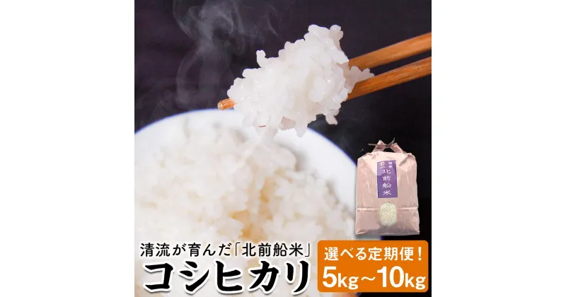 【ふるさと納税】【3～12ヶ月定期便】【令和6年産】日本遺産に認定された北前船寄港地 兵庫県新温泉町 「北前船米」コシヒカリ 精米 5kg または 10kg （5kg×2袋） 米 お米 白米 ご飯 ごはん 定期便 定期 選べる 3～12回 北前船米 兵庫県 新温泉町 送料無料