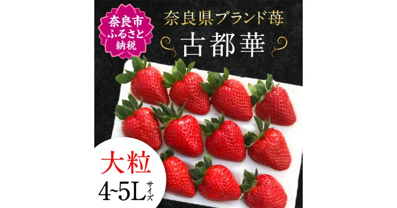 【ふるさと納税】【予約販売】 数量限定 宝石のような濃いルビー色 古都華 奈良ブランド苺 いちご 大粒 4L〜5L 2025年1月〜 発送 ギフト プレゼント 苺 ブランド苺 ブランドいちご フルーツ 果物 イチゴ 甘いいちご 期間限定 産地直送 奈良県 奈良市 IK-01