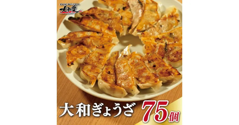 【ふるさと納税】餃子 大和ぎょうざ 1パック（15個入）計75個 〈奈良特産ヤマトポークと季節の大和野菜を使った餃子〉冷凍 野菜 お弁当 やまと餃子 大和ギョーザ ギフト プレゼント 贈答品 お礼の品 宅飲み 飲み会 パーティー なら 奈良県 奈良市 I-243