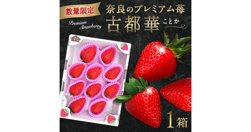 【ふるさと納税】【予約販売】 苺 いちご 古都華 ブランド苺 大粒 イチゴ 果物 フルーツ ことか 冷蔵 8〜14粒 1パック 2025年1月以降発送 数量限定 大和いちご 6FARM 夫婦 なら 奈良県 奈良市 I-275