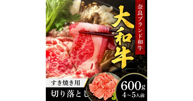 【ふるさと納税】大和牛すき焼き（しゃぶしゃぶ）用切り落とし 600g 〈肉の河内屋〉 牛肉 特上牛肉 肉 肉料理 すき焼き肉 黒毛和牛 特選和牛 ロース肉 美味しい肉 国産牛肉 しゃぶしゃぶ肉 霜降り 希少和牛 お祝い 誕生日 父の日 母の日 ギフト なら 奈良県 奈良市 I-276