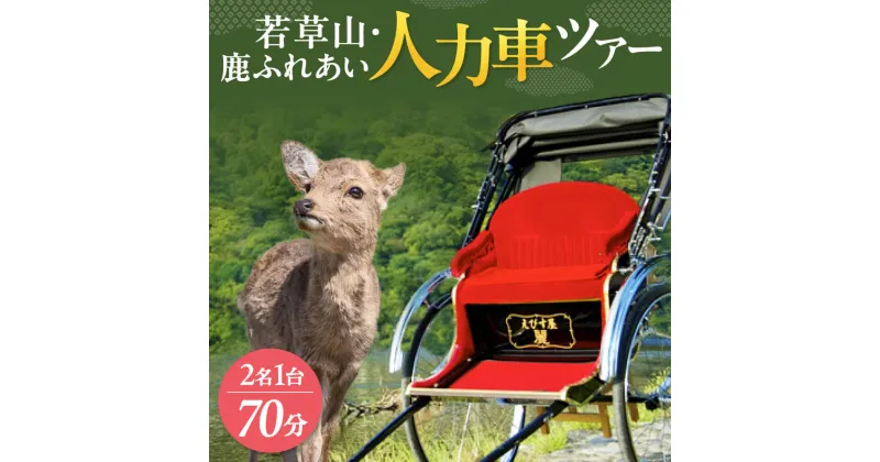 【ふるさと納税】人力車で楽チン観光【70分】若草山・鹿ふれあい人力車ツアー 2名1台 株式会社麻世勝エビス なら 旅行 巡り ガイド 人力車