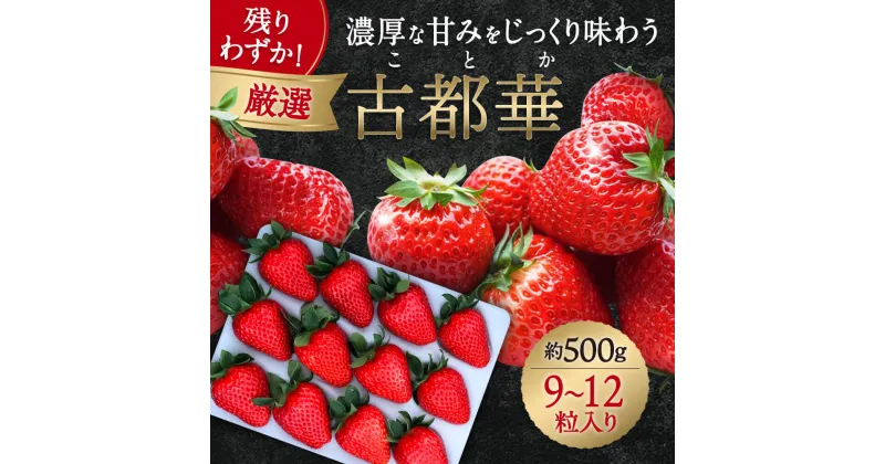 【ふるさと納税】【予約販売】苺 いちご ブランド苺 古都華（ 500g × 1パック ） イチゴ ブランド 果物 フルーツ いちご農家だるまいちご 厳選 大ちゃんの古都華 プレゼント 贈答用 お土産 2025年1月以降順次発送 なら 奈良県 奈良市 I-287