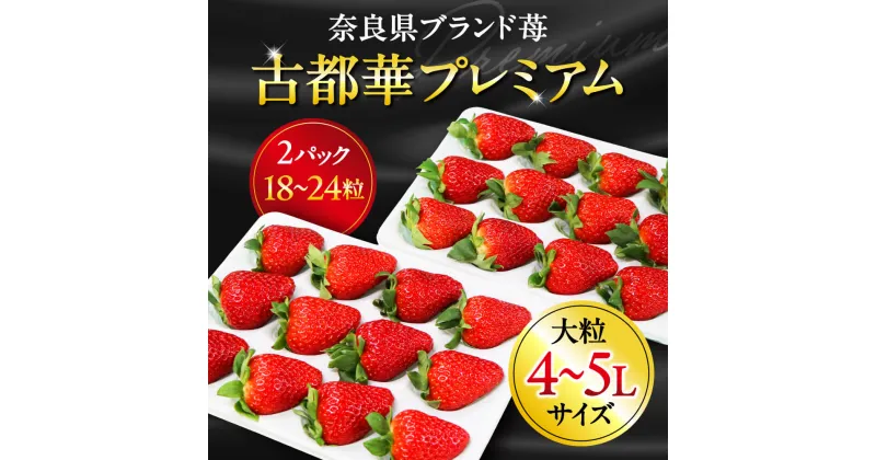 【ふるさと納税】【数量限定】苺 いちご ブランド苺 宝石のような濃いルビー色 古都華 大粒 4L ~ 5L 9~12粒 2パック 化粧箱入り 贈答用 予約 特選 苺 甘い苺 フルーツ 果物 デザート イチゴ お礼の品 御祝い 贅沢 限定品 なら 奈良県 奈良市 （2025年1月以降発送）HJ-05