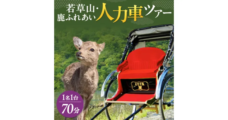 【ふるさと納税】 人力車で楽チン観光【70分】若草山・鹿ふれあい人力車ツアー 1名1台　株式会社麻世勝エビス なら 旅行 巡り ガイド 人力車