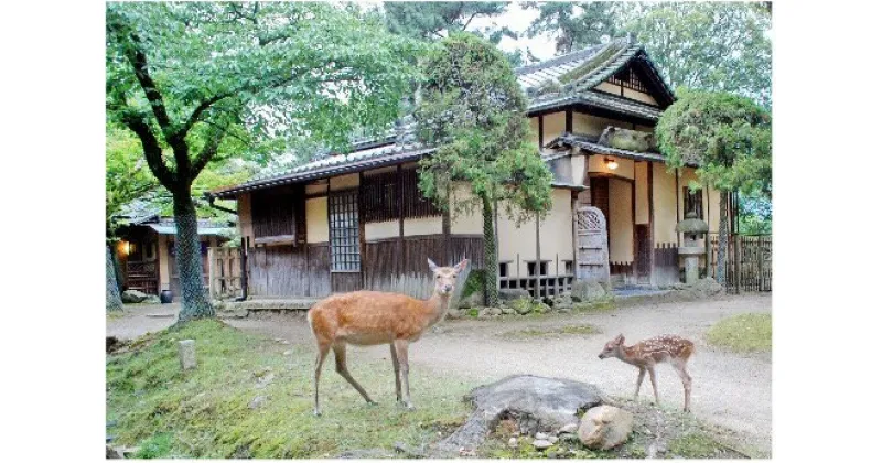 【ふるさと納税】江戸三 1泊2食付宿泊券（2名様1室）有限会社 江戸三 奈良市 なら