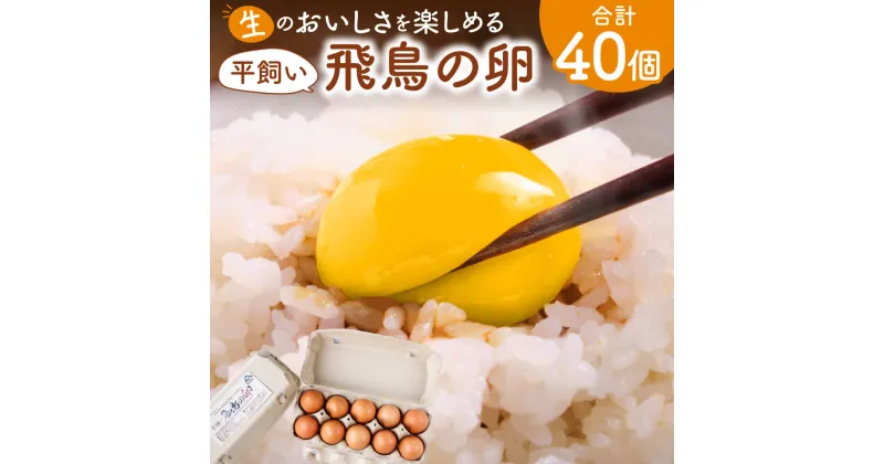 【ふるさと納税】飛鳥の卵 10個×4箱 たまご 卵 玉子 タマゴ 鶏卵 オムレツ 卵かけご飯 たまご焼き 古都 風雅ファーム 奈良市なら 15-011