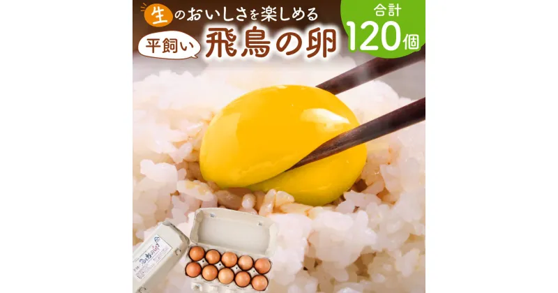 【ふるさと納税】飛鳥の卵（10個×4箱）定期便3ケ月 たまご 卵 玉子 タマゴ 鶏卵 オムレツ 卵かけご飯 たまご焼き 古都 風雅ファーム 奈良市なら 45-003