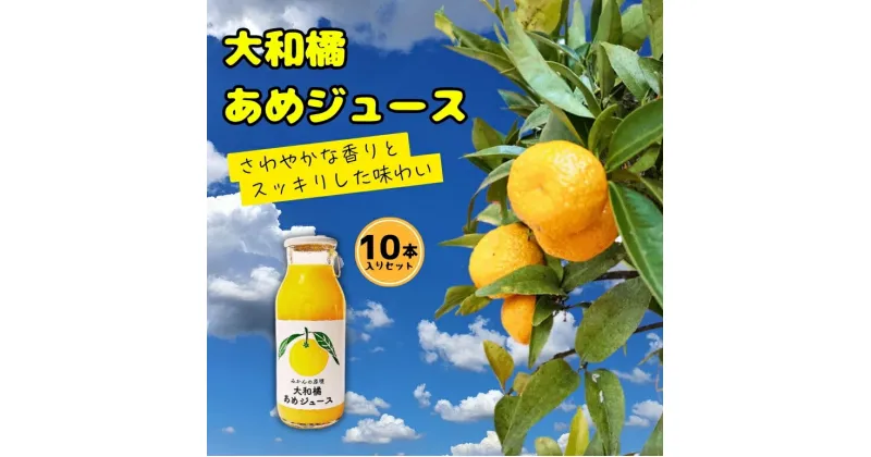 【ふるさと納税】大和橘あめジュース 10本入り ならBonbon 奈良県 奈良市 なら 16-003