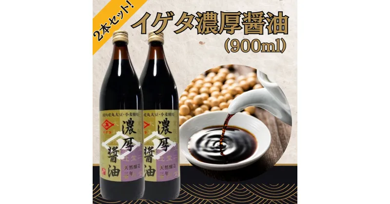 【ふるさと納税】イゲタ 濃厚醤油（900ml）2本セット 株式会社井上本店 奈良県 奈良市 なら 8-006