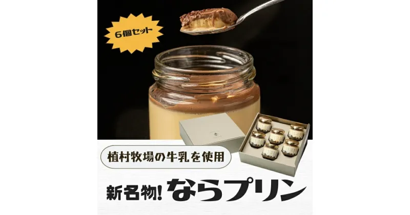 【ふるさと納税】新しい新名物！ならプリン誕生！6個セット 濃厚 プリン スイーツ プリン なめらか プリン 食べ比べ プリン 奈良 プリン 洋菓子 こだわり プリン 土産 プリン 冷蔵 プリン 贈り物 プリン こだわり スイーツ プレーン なら 奈良県 奈良市 8-007