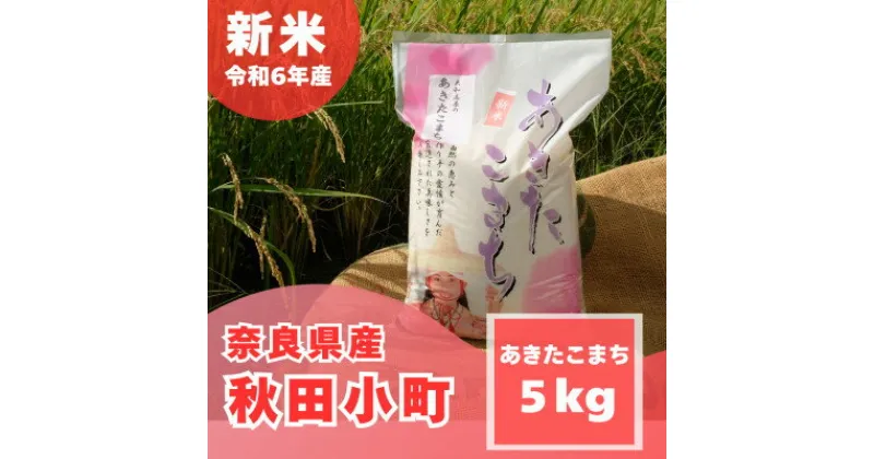 【ふるさと納税】【令和6年産 新米】奈良県産 あきたこまち 精米 5kg【1454618】