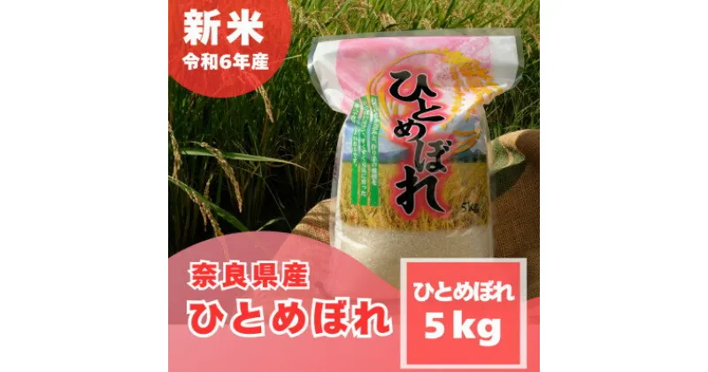 【ふるさと納税】【令和6年産 新米】奈良県産 ひとめぼれ 精米 5kg【1454619】