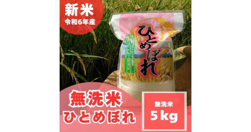 【ふるさと納税】【令和6年産 新米】【無洗米】 奈良県産 ひとめぼれ 5kg【1462025】