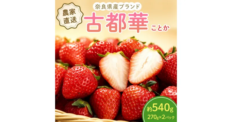 【ふるさと納税】奈良県産古都華2パックセット　果物類・いちご・苺・イチゴ・古都華　お届け：2025年1月中旬～2025年4月末