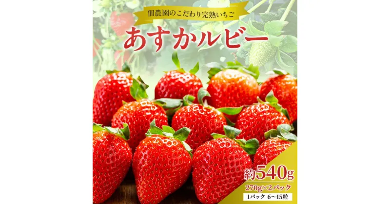 【ふるさと納税】佃農園のこだわり完熟 あすかルビー 【いちご】　果物類・いちご・苺・イチゴ　お届け：2025年1月中旬～2025年4月上旬