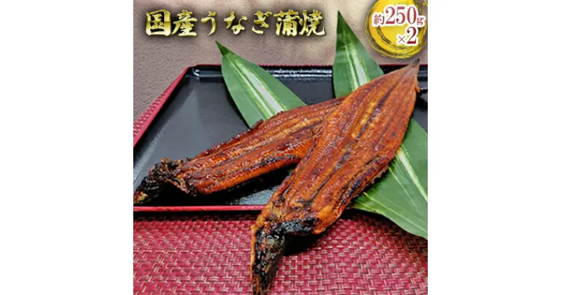 【ふるさと納税】国産うなぎ蒲焼　Aセット　 鰻 ウナギ かば焼き つまみ 肴 スタミナ おかず 日本食