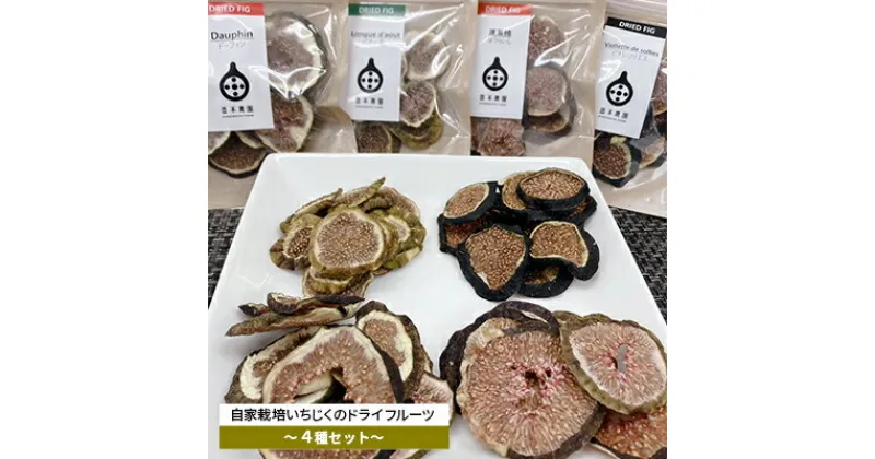 【ふるさと納税】自家栽培いちじくのドライフルーツ～食べ比べ4種セット～　 加工食品 乾燥いちじく ドーフィン バナーネ 蓬莱柿 ビオレソリエス 乾燥フルーツ