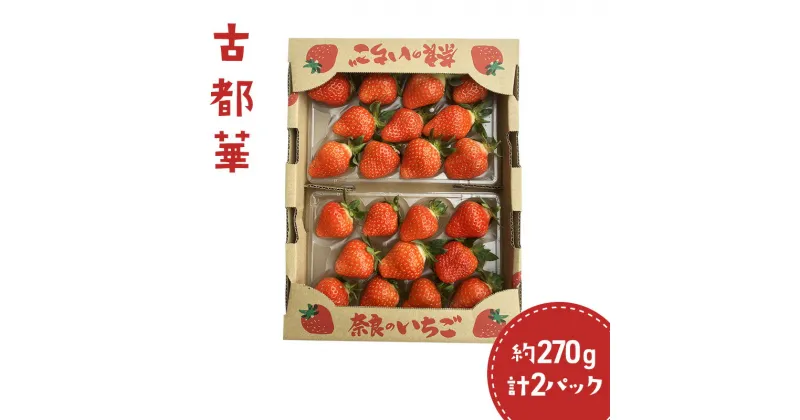 【ふるさと納税】イチゴ古都華(約270g)計2パック　 果物 フルーツ 食後 デザート 旬の果物 完熟イチゴ 国産 　お届け：2025年1月下旬～5月中旬まで