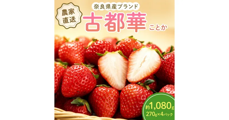 【ふるさと納税】乾農園のいちご(270g以上×4パック)奈良県産古都華(ことか)4パックセット　大和郡山市　お届け：2025年1月中旬～4月中旬