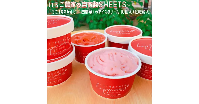 【ふるさと納税】いちご農家の自家製SWEETS いちご（あすかルビー・古都華）のアイスクリーム 10個入（化粧箱入）〇