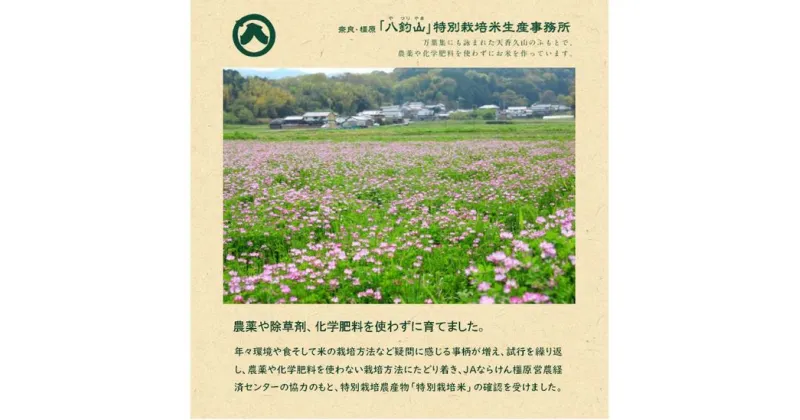 【ふるさと納税】【新米】奈良・橿原　農薬や化学肥料不使用【令和6年産】ヒノヒカリ 5kg（5kg×1袋）