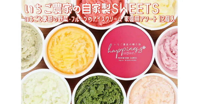 【ふるさと納税】いちご農家の自家製SWEETS いちごと季節の野菜・フルーツのアイスクリーム 家庭用アソート 12個入〇