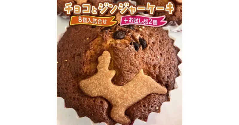 【ふるさと納税】チョコとジンジャーケーキ8個入詰合せ＋お試し品2個 ※着日指定不可