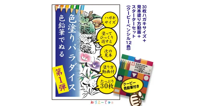 【ふるさと納税】色鉛筆付き「色塗りパラダイス」と称してハガキサイズ色鉛筆で初めての方も安心のスターターセット【30枚＋12色の色鉛筆】見本が見やすく塗り方説明動画のオマケ付き。たっぷりの絵柄にドンドン挑戦できるのが特徴※着日指定不可