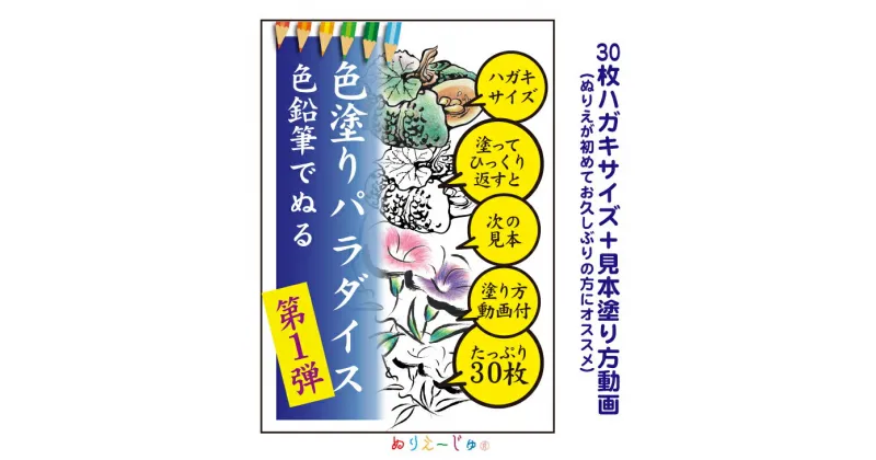 【ふるさと納税】「色塗りパラダイス」ハガキサイズ色鉛筆で初めての方も安心【30枚】見本が見やすく塗り方説明動画のオマケ付き。たっぷりの絵柄にドンドン挑戦できるのが特徴。※着日指定不可