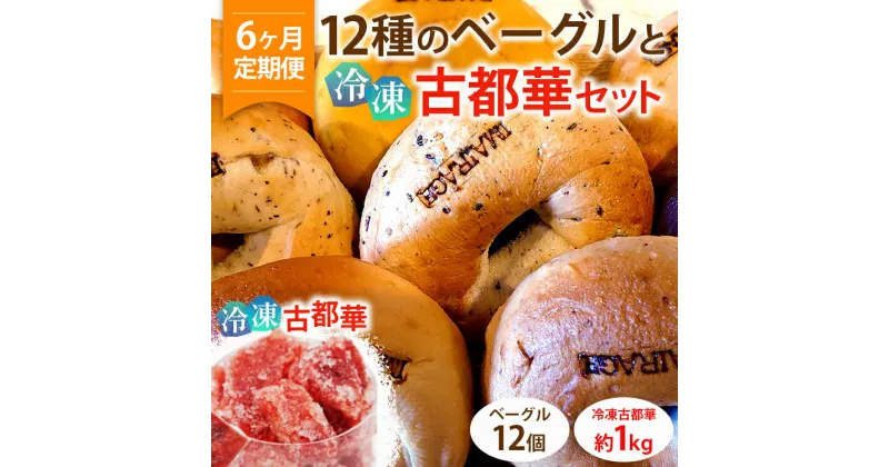 【ふるさと納税】【定期便】12種のベーグル12個と冷凍古都華セット×6ヶ月≪低カロリー ベーグル 保存料無添加 食事パン 今井町食事パン お取り寄せ≫※着日指定不可※離島への配送不可