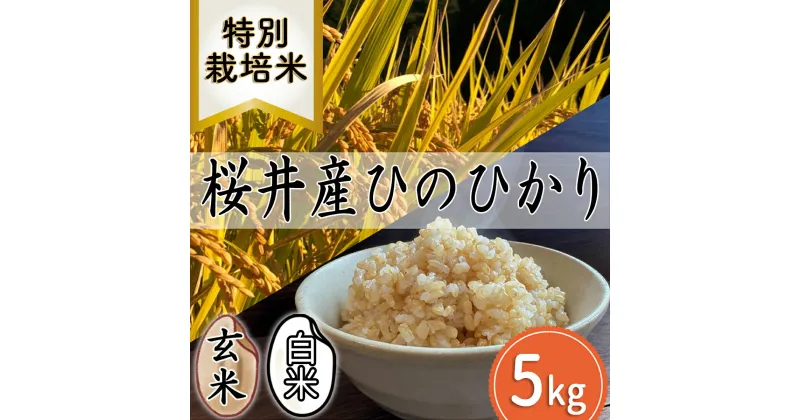 【ふるさと納税】＜特別栽培米＞桜井市高家産 ヒノヒカリ 5kg／特別栽培米　新鮮 玄米 白米 奈良県産 桜井市産 奈良のお米 ヒノヒカリ 藤本農園