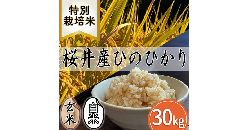 【ふるさと納税】＜特別栽培米＞桜井市高家産 ヒノヒカリ 30kg／特別栽培米　新鮮 玄米 白米 奈良県産 桜井市産 奈良のお米 ヒノヒカリ 藤本農園