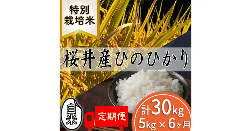 【ふるさと納税】＜特別栽培米＞桜井市高家産 ヒノヒカリ 5kg 白米 定期便（全6回）／白米 奈良県産 桜井市産 奈良のお米 藤本農園