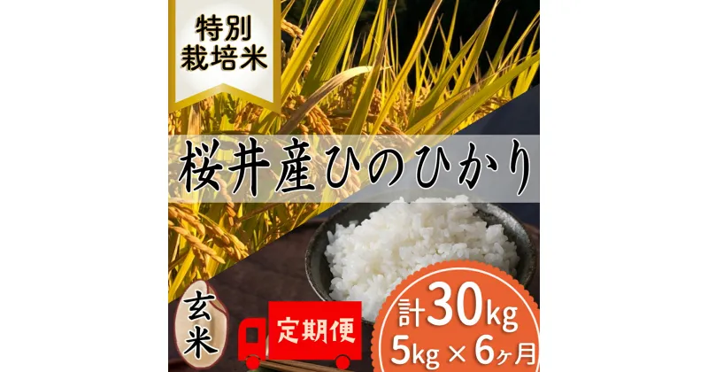 【ふるさと納税】＜特別栽培米＞桜井市高家産 ヒノヒカリ 5kg 玄米 定期便（全6回）／玄米 奈良県産 桜井市産 奈良のお米 ヒノヒカリ 藤本農園