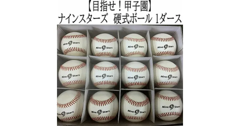 【ふるさと納税】ナインスターズ　硬式ボール 1ダース／野球 ベースボール 野球ボール 硬式 練習球 硬球 硬式球 バッティング練習 トレーニング キャッチボール 守備練習 部活 サークル 社会人野球 草野球