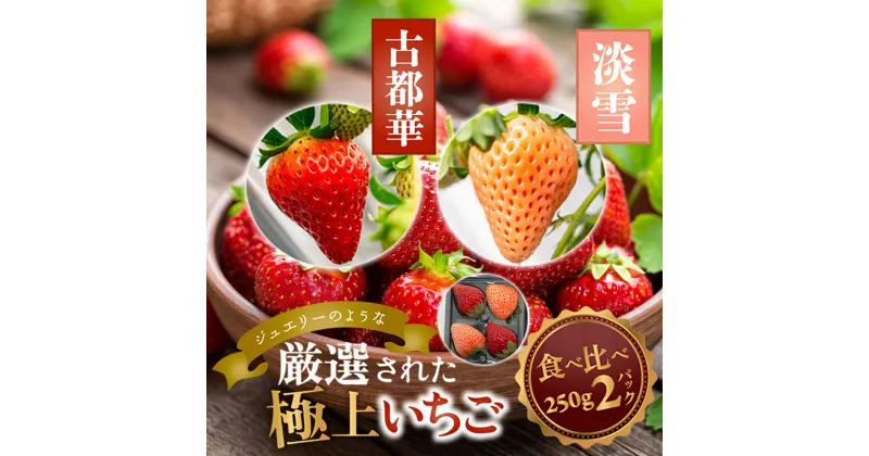 【ふるさと納税】古都華・淡雪 250g×各1P／奈良県 苺 先行予約 ジャム 数量限定 期間限定 ブランド 人気 ギフト プレゼント 食べ比べ いちご 白 J-berryグループ「ICHIGO」 前田ストロベリー研究所