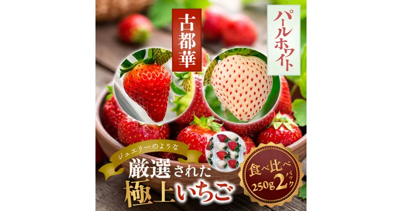 【ふるさと納税】古都華・パールホワイト 250g×各1P／奈良県 苺 先行予約 ジャム 数量限定 期間限定 ブランド 人気 ギフト プレゼント 食べ比べ いちご 白 J-berryグループ「ICHIGO」 前田ストロベリー研究所