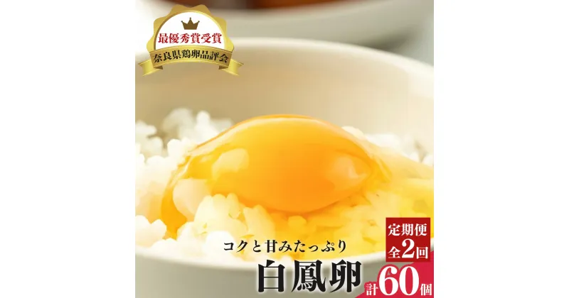 【ふるさと納税】【定期便】さかもと養鶏の白鳳卵60個（30個入×全2回配送） | 卵 たまご 玉子 タマゴ　生たまご 生卵 白鳳卵　奈良県 五條市