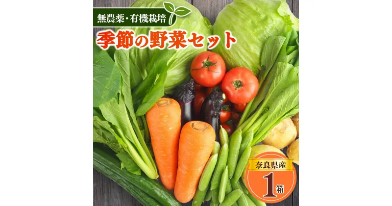 【ふるさと納税】 生命の農法（ 無化学農薬 ・ 無化学肥料栽培 ） 季節の野菜 セット | ヤサイ 野菜 やさい 詰め合わせ 奈良県 五條市