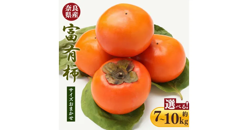 【ふるさと納税】富有柿 7.0kg 箱 10kg 箱サイズおまかせ | フルーツ くだもの 果物 柿 かき カキ 富有柿 奈良県 五條市